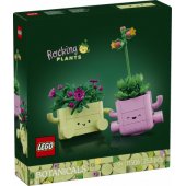 11506 Swinging Plants