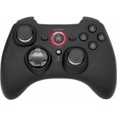 RAIT Bluetooth Gamepad for Nintendo Switch