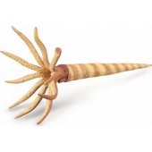 Collecta FIGURE ORTHOCERAS - CollectA - 88903 - L figurine.