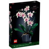 Botanical Orchid 10311