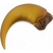 Collecta figurine BARYONYX®S PASTE IN BOX - CollectA - 89282