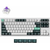 Q3 HE Purple Switch (EN)
