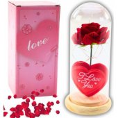Eternal Rose in Dome with LED Lighting Red with Heart 18.5x8cm