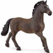 Horse Club Oldenburg stallion