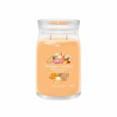 Signature Mango Ice Cream U 567