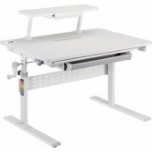 ER-483 White