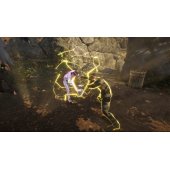 Cobra Kai 2: Dojo kilimas PS4