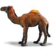 Collecta One-Humped Camel figurine (004-88208)