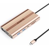 XDR-X22-RG-BP 12 viename USB-C auksinis