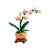 Mini Orchid 10343