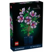 10372 Hibiscus