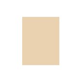 Sisley Sisley Le Teint Foundation 30ml 1B Ecru