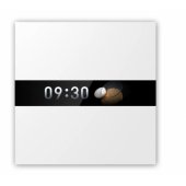 Display Switch V1 WS-K02D