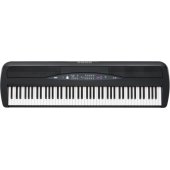 SP280-BK Black
