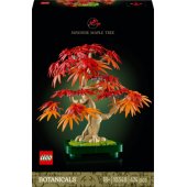 10348 Japanese Red Maple Bonsai Tree