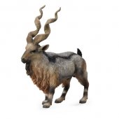 Collecta Hornblower Tadjik Markhor figurine (004-88641)