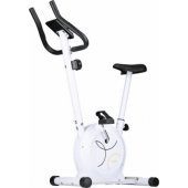 One Fitness RM8740 magnetic stationary bike white