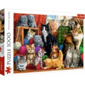 Trefl dėlionė 1000 Cat meeting
