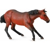 Collecta Quarterio veislės kumelė (004-88584)