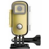 C100+ Gold