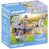 Pony carriage