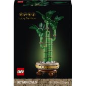 Lucky Bamboo 10344