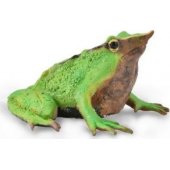 Collecta COLLECTA Frog figurine