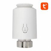 TRV06