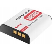 NP-BG1 Replacement Battery