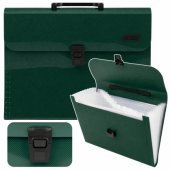 Folder Organizer for Documents, 13 Compartments, Green, A4, Holder