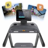ZenRun 300