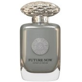 _8326797 AURAA DESIRE Future Now Extrait de Parfum spray 100ml