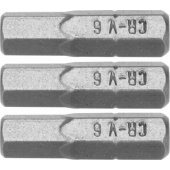 Dedra Hex H6x25mm atsuktuvo antgaliai, 3 vnt., lizdinė pakuotė (18A04H60-03)