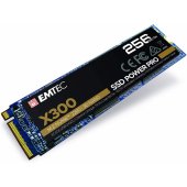 X300 256GB M.2 ECSSD256GX300